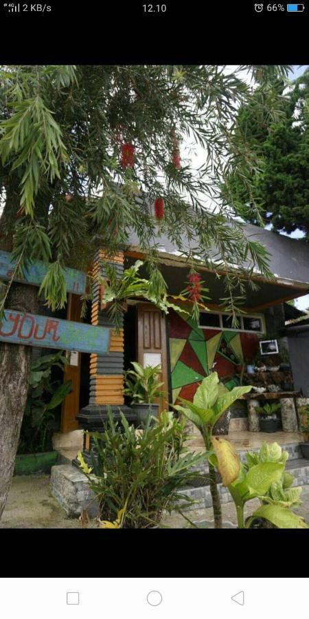 Isi Langa Home Stay Bajawa Exterior foto